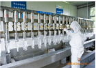 Latex Gloves Production Line-Quality Inspection