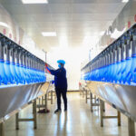 glove watertight test system
