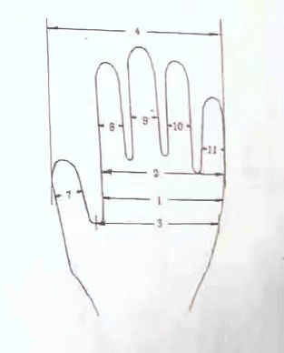 glove formers