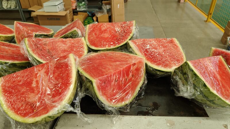 fengwang Watermelon Giveaway